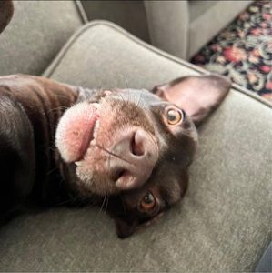 Meet your Posher, Beth